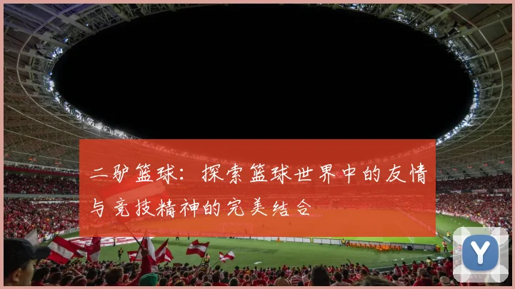 二驴篮球：探索篮球世界中的友情与竞技精神的完美结合