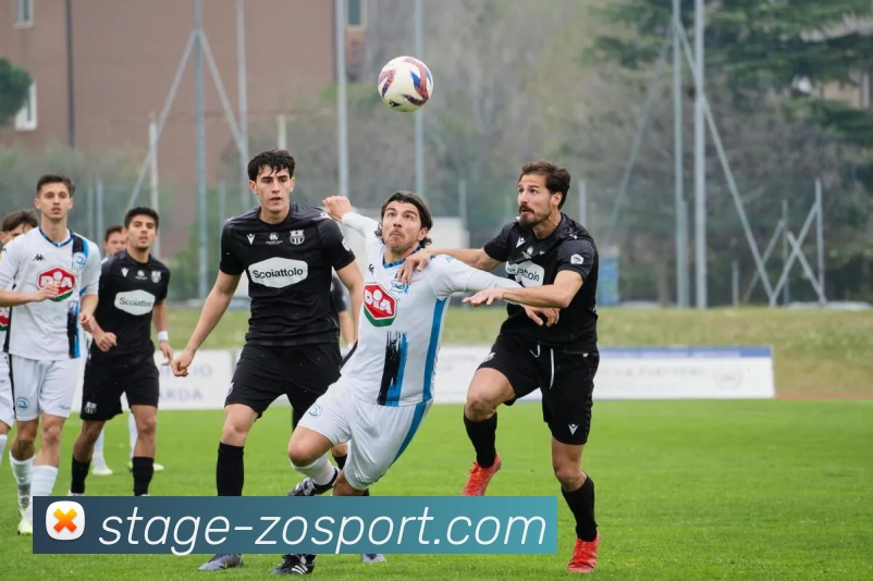 中欧体育品牌故事