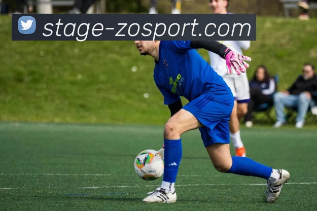 中欧体育服务体系